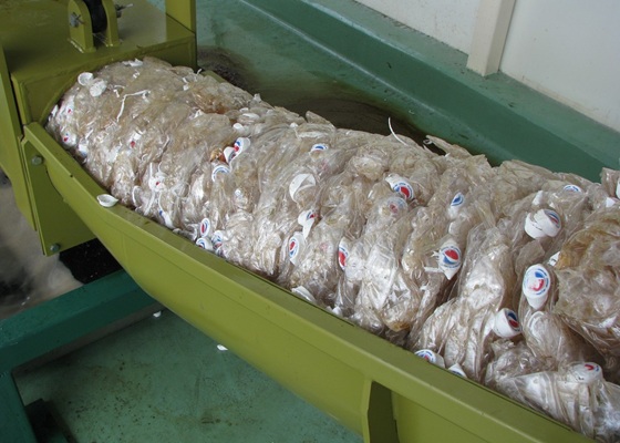 botellas de PET drenadas y compactadas