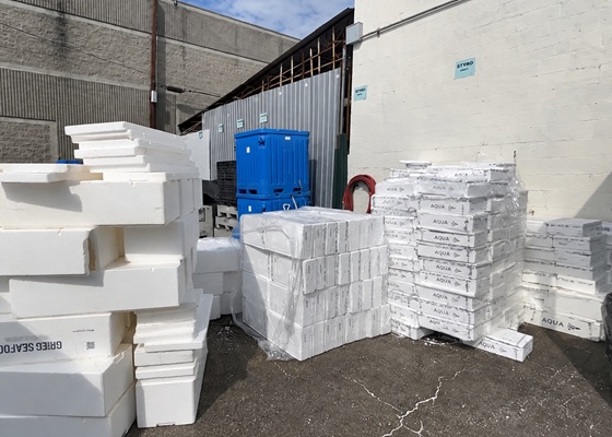 Caja de pescado de poliespán lista para reciclar