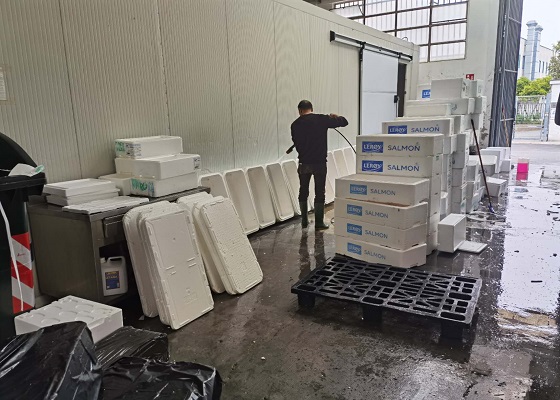 Cajas de EPS para pescado