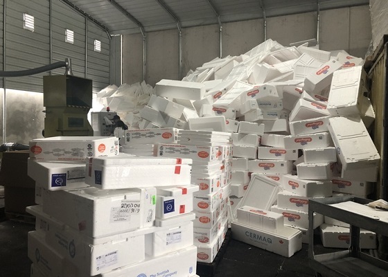 cajas de pescado de EPS desechadas