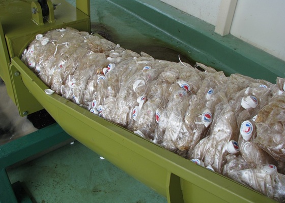 compactación de botellas de bebidas