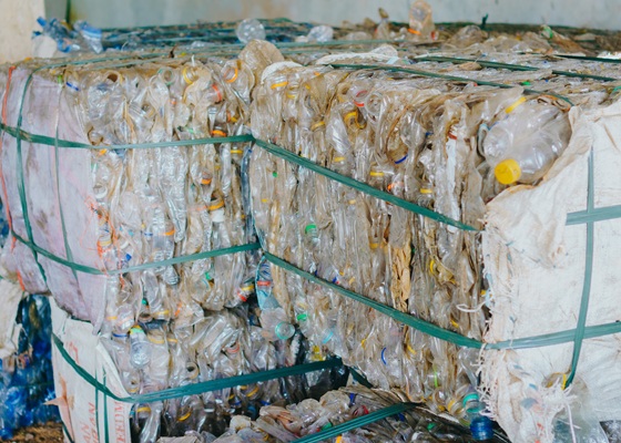 pacas de pet compactas y uniformes