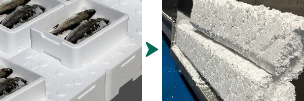 reciclaje de cajas de pescado de corcho blanco