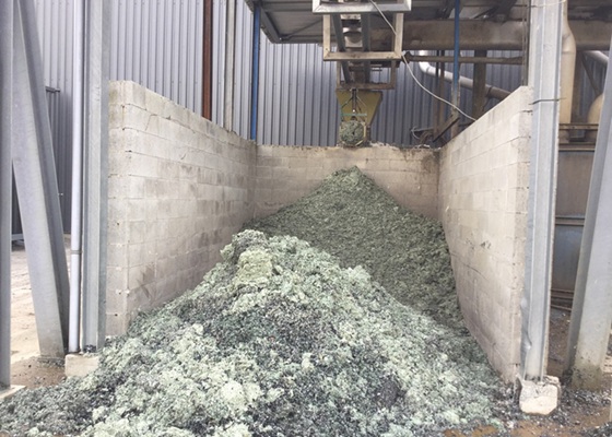 Tratamiento de residuos orgánicos